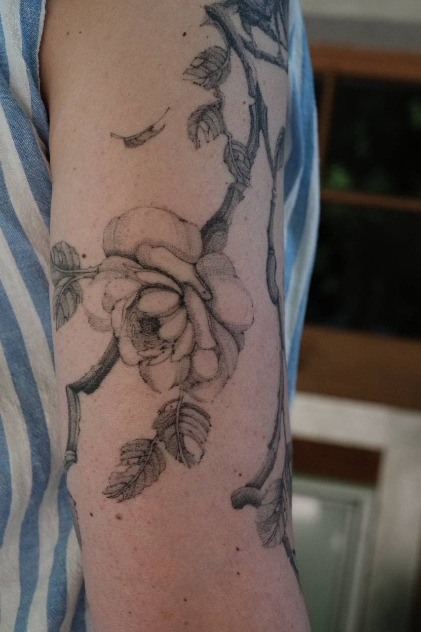 Fineline Tattoo verheilt – Rose am Ast – SIJA.INK Zürich