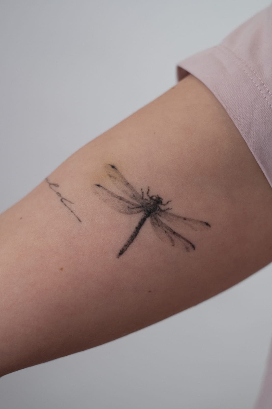 Fineline Tattoo verheilt – Libelle – SIJA.INK Zürich