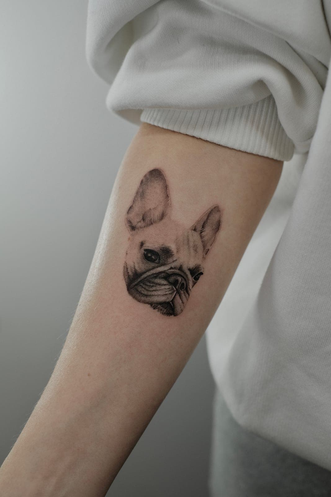 Fineline Tattoo frisch gestochen – Frenchie-Porträt – SIJA.INK Zürich